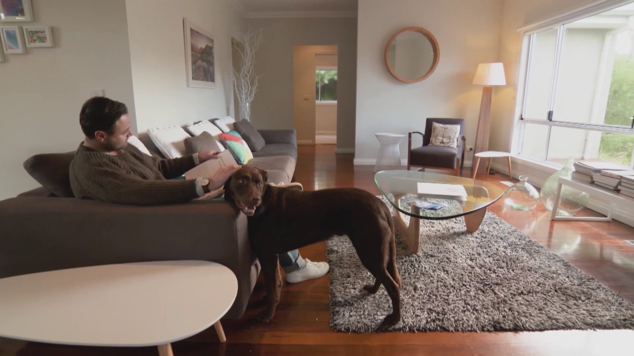 Check list when searching pet friendly accommodation - S1 Ep 2