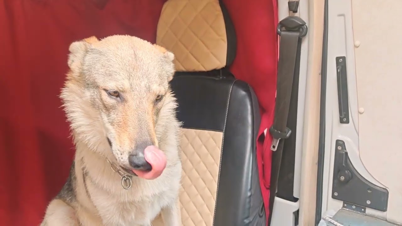 Momenti di Val di Fassa 