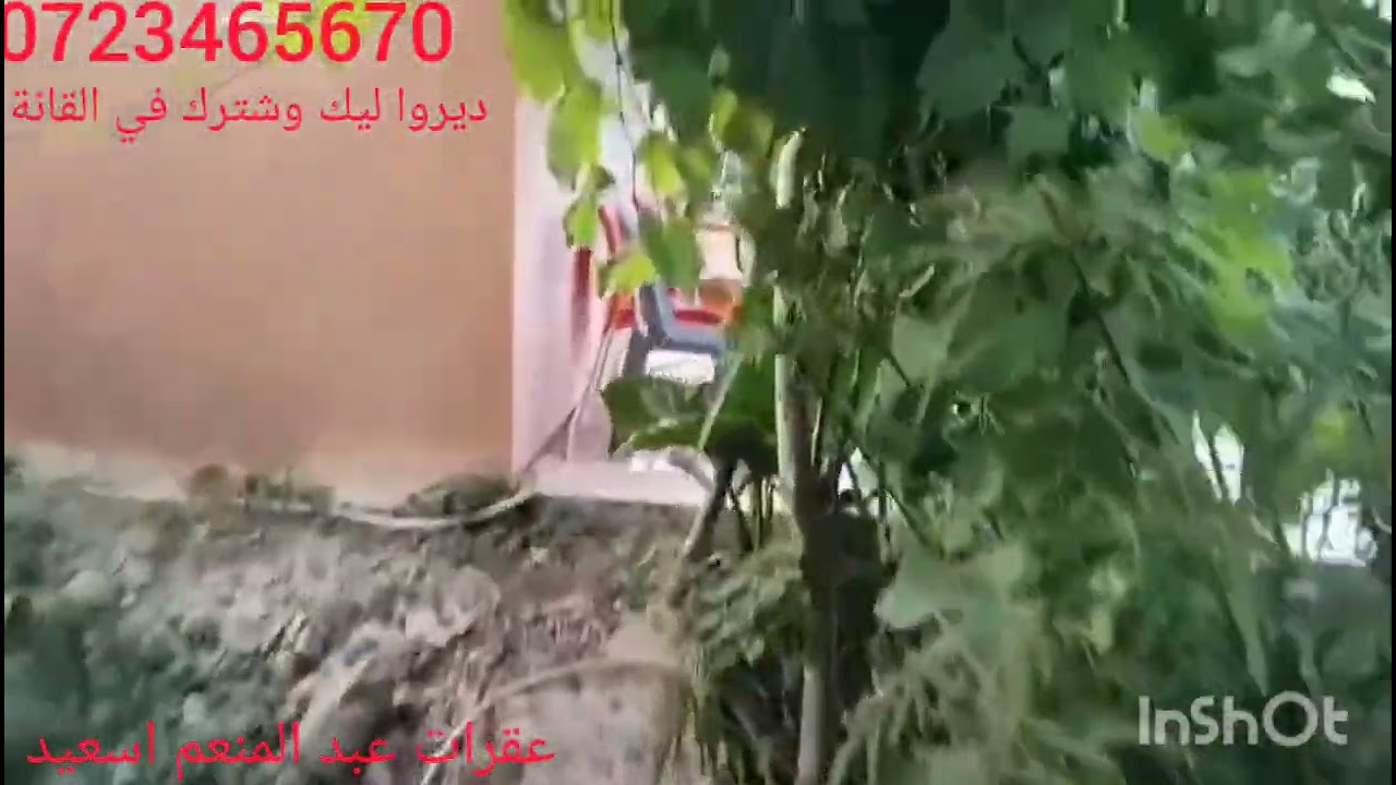 دار وعر وعر مفيجج هميز دار وغريس فيه 2000ميتر نواحي خميس انجرة 0723465670متنسوش ليك وشترك في القانة