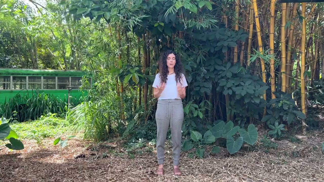 Welcome…And, Why I Do Qigong! 🪷