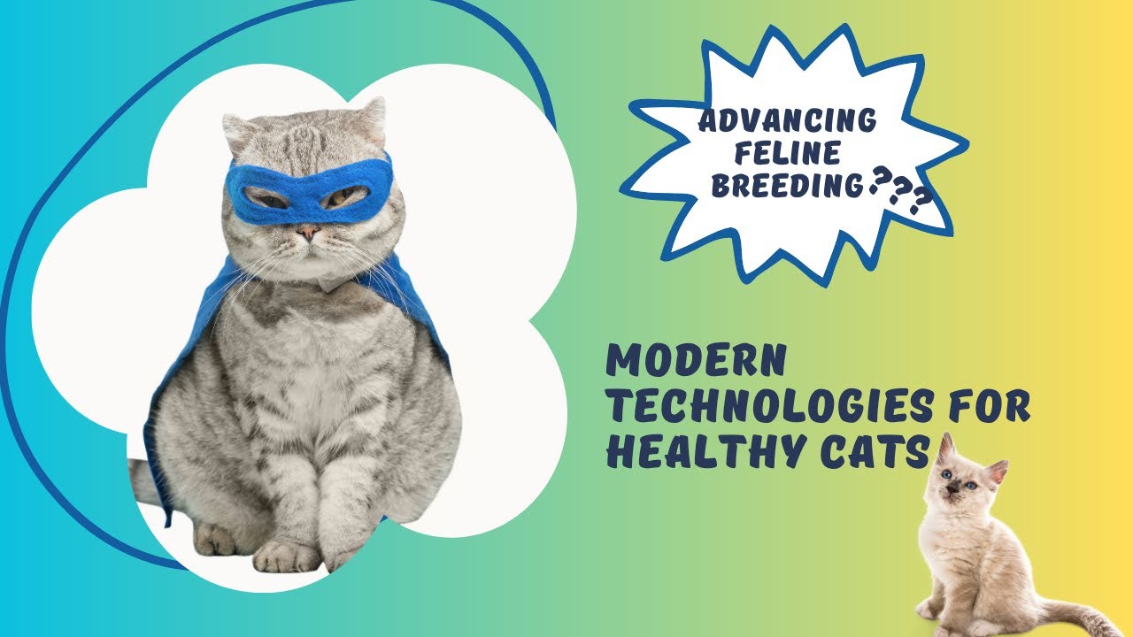 Advancing Feline Breeding Modern Technologies for Healthy Cats