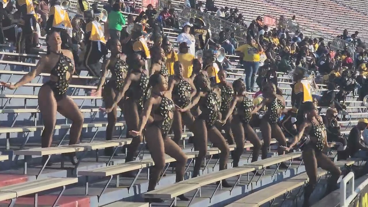 ASU Stingettes 2025 - Stands MMH Entrance (Port City Classic) 