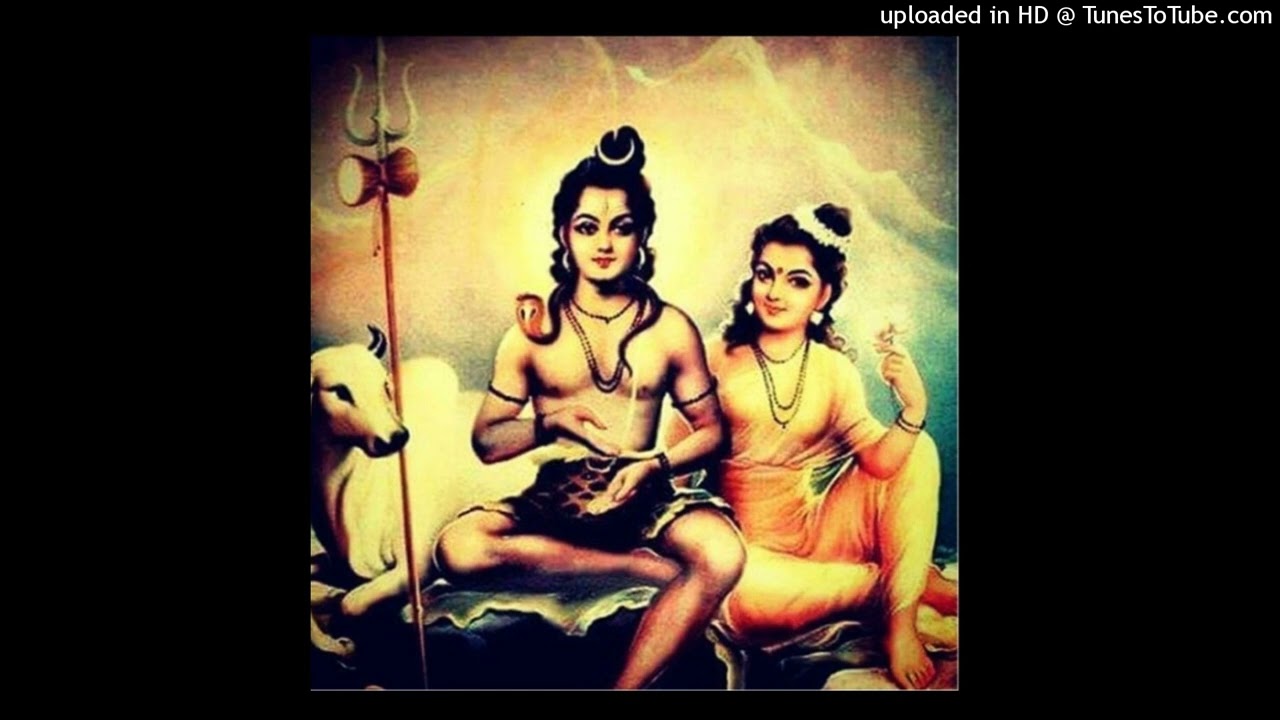 🦁🦬🌷🐍Shambhumadau 🐍🌷🦬🐯 gondi bhajan