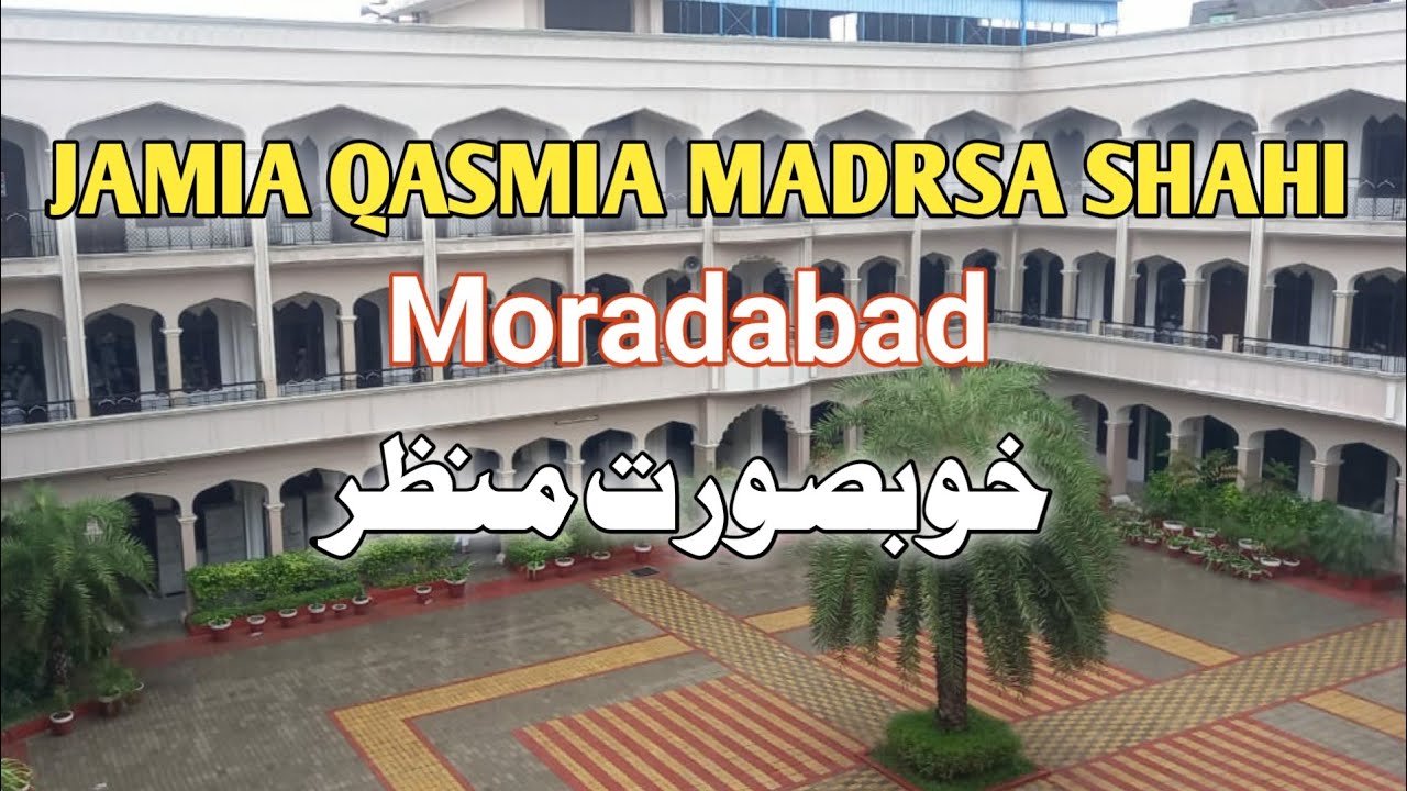 Madrasa Shahi Moradabad 2023 #education #educationalvideo #shortvideo