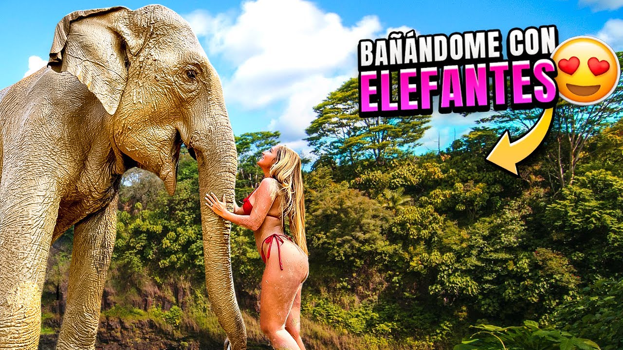 Baño de LODO CON ELEFANTES en Tailandia 😱🐘 Chiang Mai Santuario y Templos