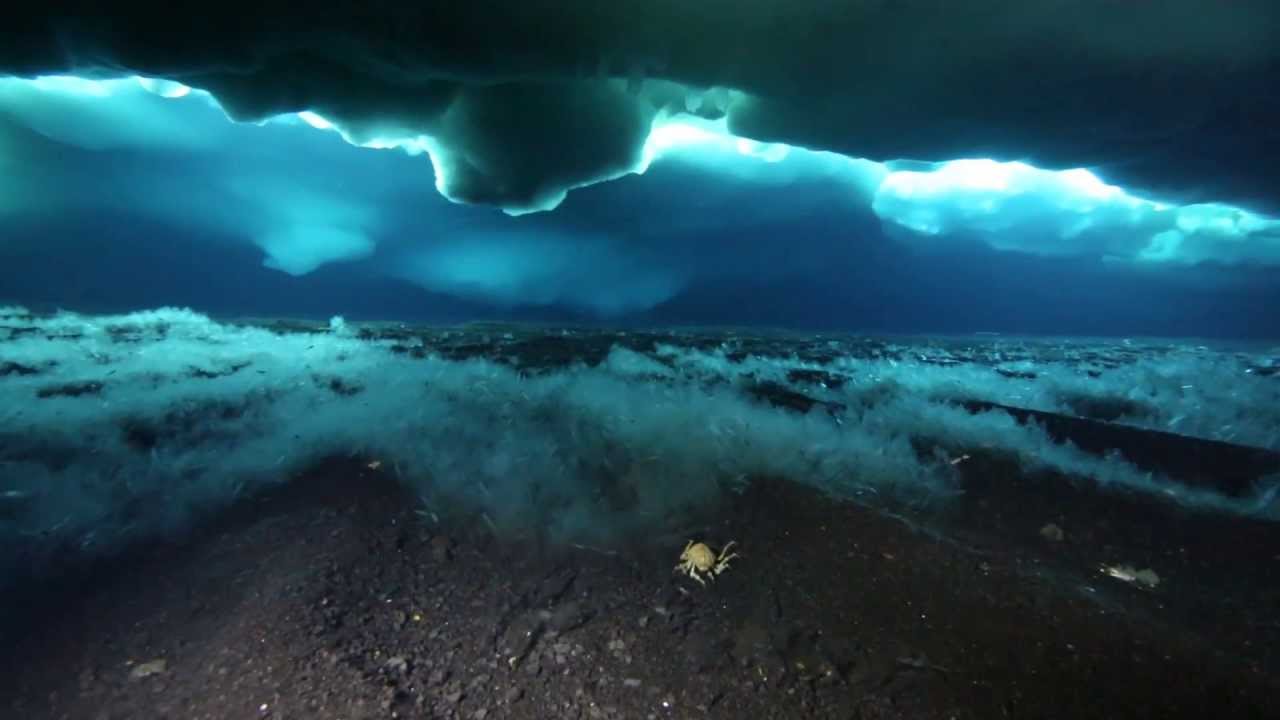 Antarctica Diving McMurdo October 2012