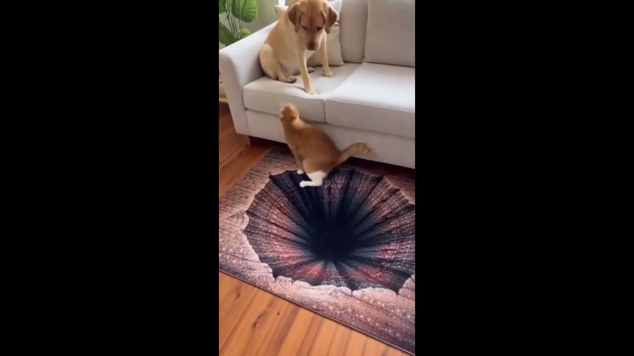 so funny #viral #trending #short