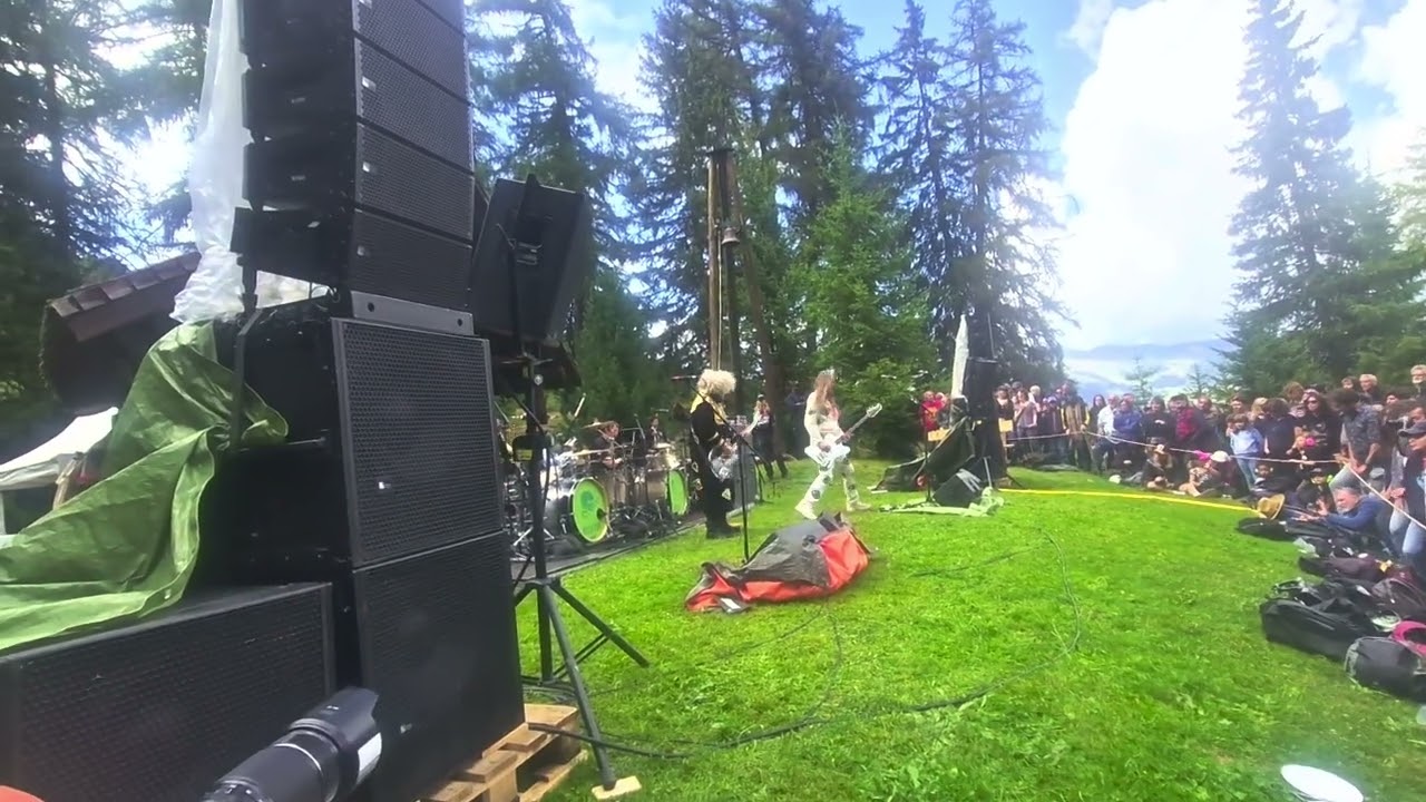 THE MELVINS  play at palp festival 