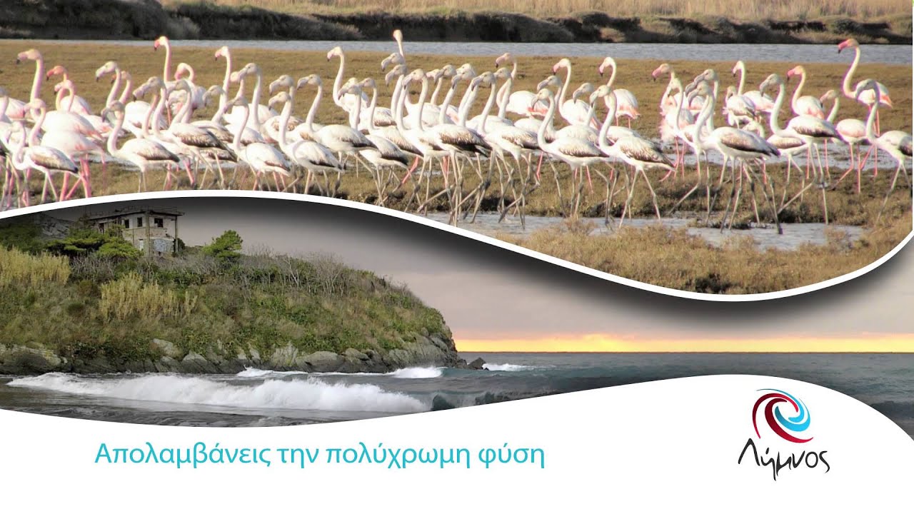 Limnos video full version