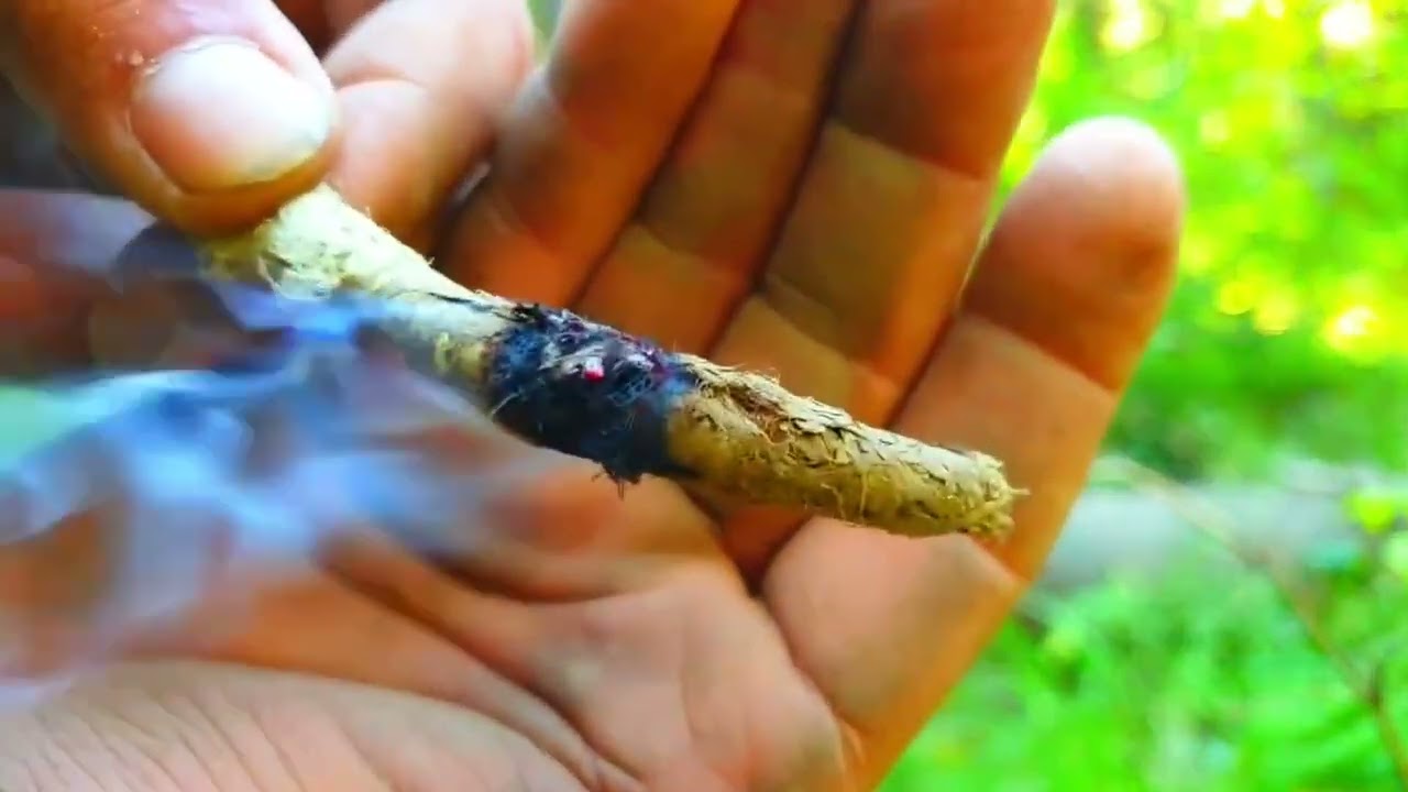 ☠МЕСЯЦ ВЫЖИВАНИЕ В ДИКОЙ ПРИРОДЕ БЕЗ НИЧЕГО СТАНОК ДЛЯ ДОБЫЧИ ОГНЯ УСТАНОВКА ЛОВУШКИ ЛЕС