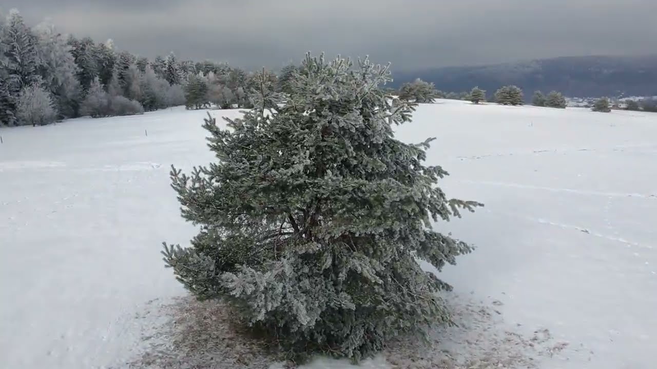 Beskid Niski - Nowica i Regietów