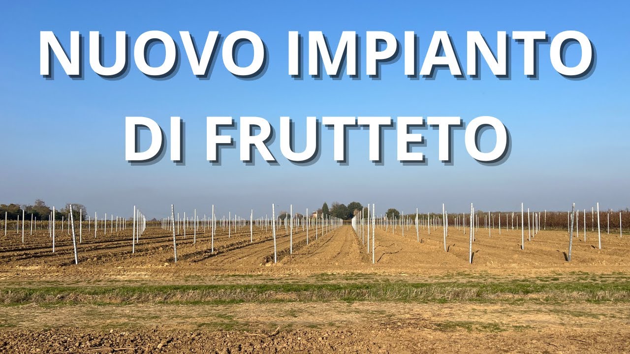 Una NUOVA AVVENTURA.