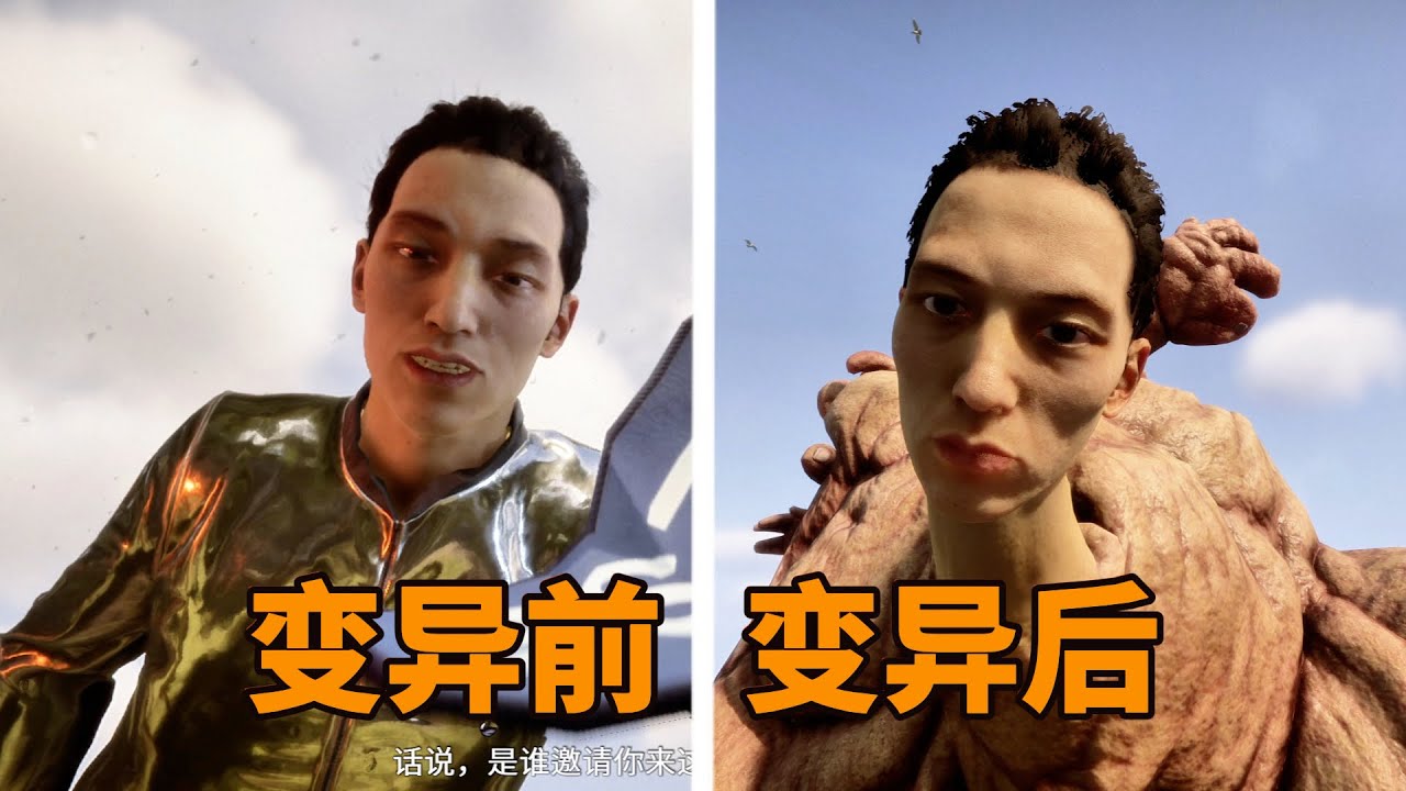 为什么说张建宇是《森林之子》的关键人物?