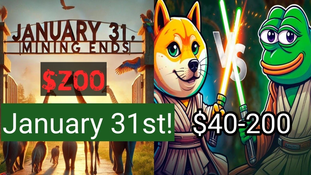 zoo new update | airdrop update January 31st! zoo listing date 📅