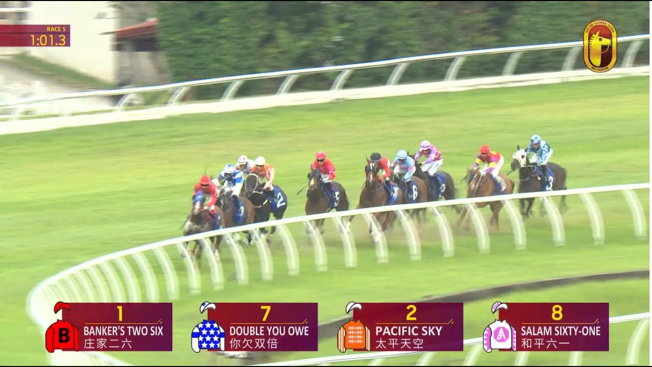 25 JAN 2026 RACE 5
