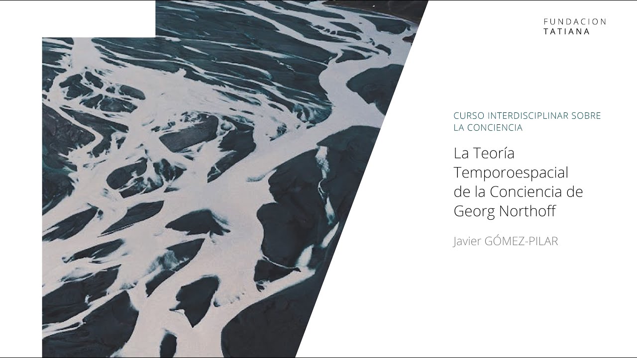 La Teoría Temporoespacial de la Conciencia de Georg Northoff