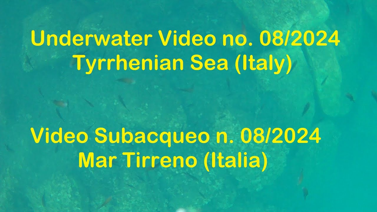 Video Subacqueo n. 8/24 - Mar Tirreno / Underwater Video no. 8/24 - Tyrrhenian Sea (Italy)