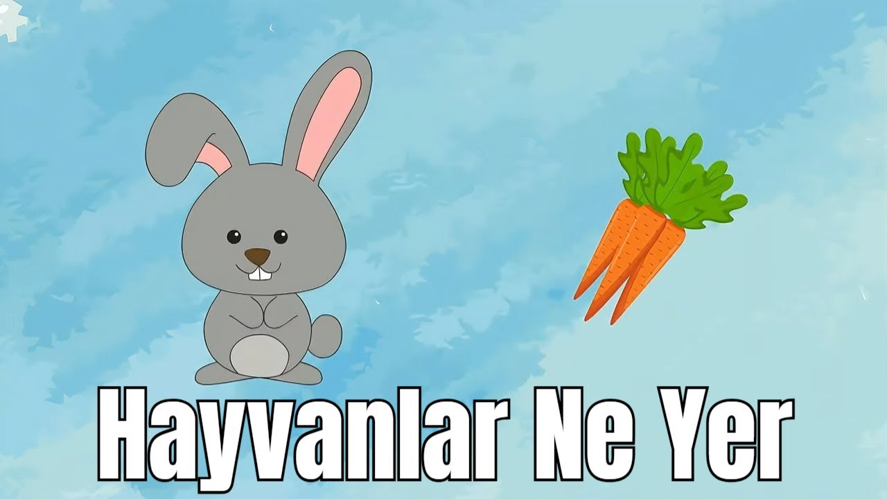 Hayvanlar Ne Yer? &Ccedil;ocuklar i&ccedil;in Eğitici &Ccedil;izgi Film - Okul &ouml;ncesi i&ccedil;in