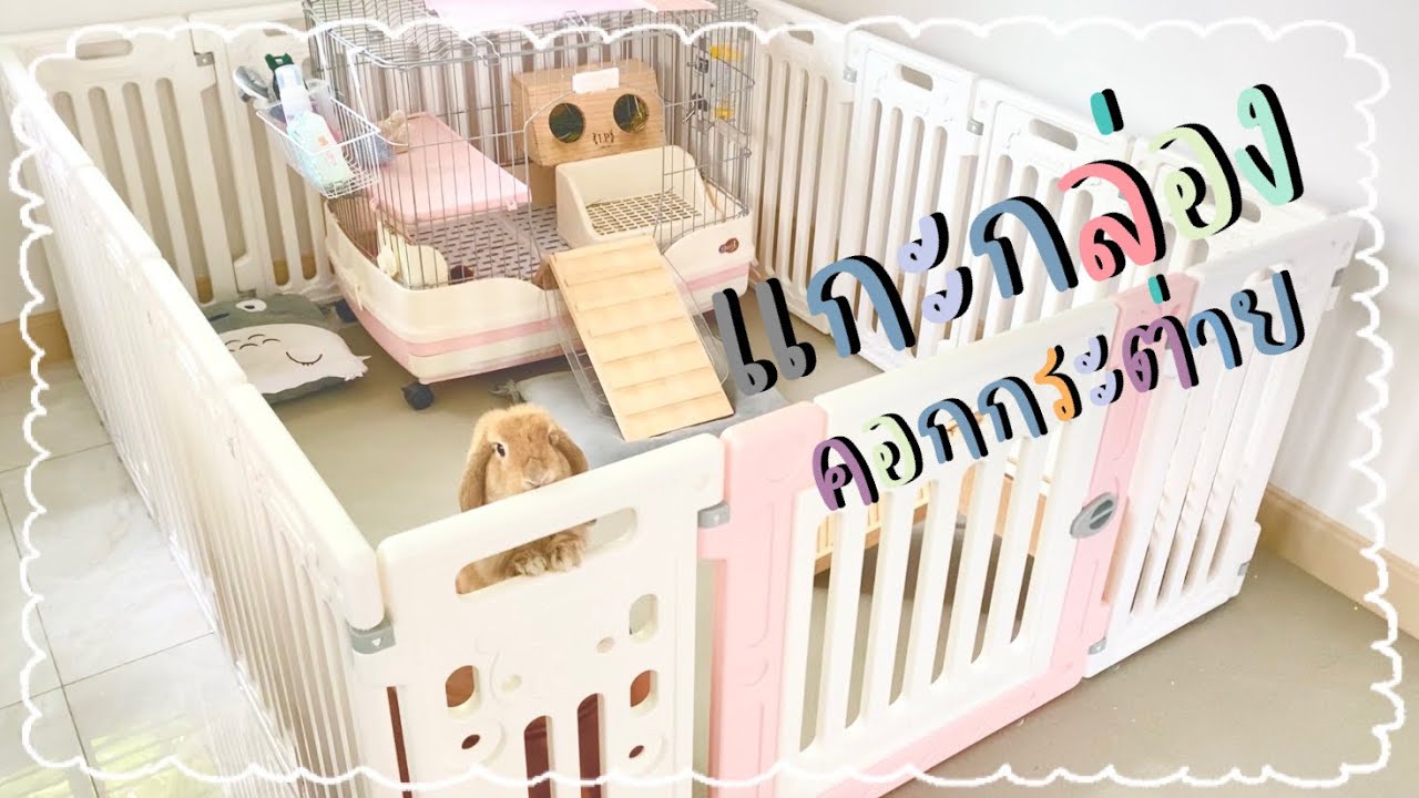 🐰Bunny’s story EP.15 | แกะกล่อง “คอกกระต่าย” ด.ญ.มันบด ควบคุมคุณภาพทุกขั้นตอน 🤣