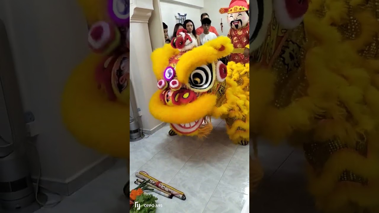 雄义龙狮学院 Performing at Jurong West Blk 848 兴旺发 正月初二 18th Feb 2026