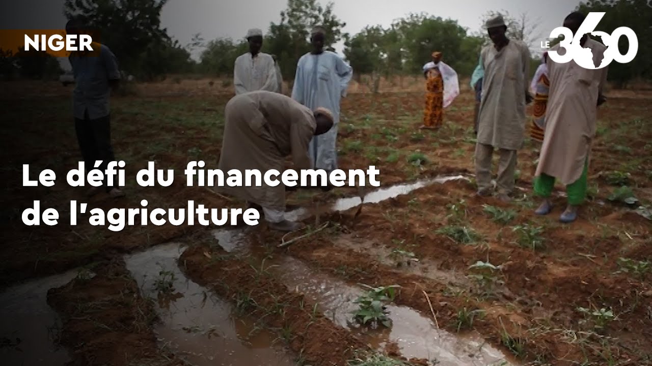 Niger: financer l'agriculture pour accroître les revenus agricoles
