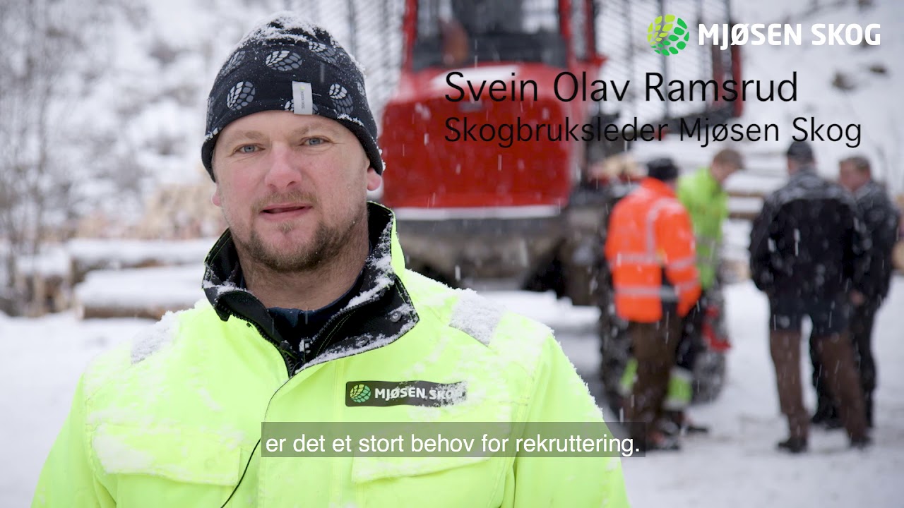 videregående opplæring innenfor skogbruk