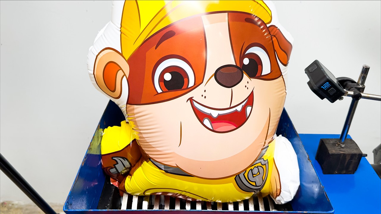 Shredding Paw Patrol Characters!