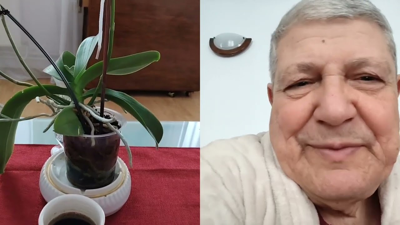Ultima zvâcnire a iernii....sperăm!