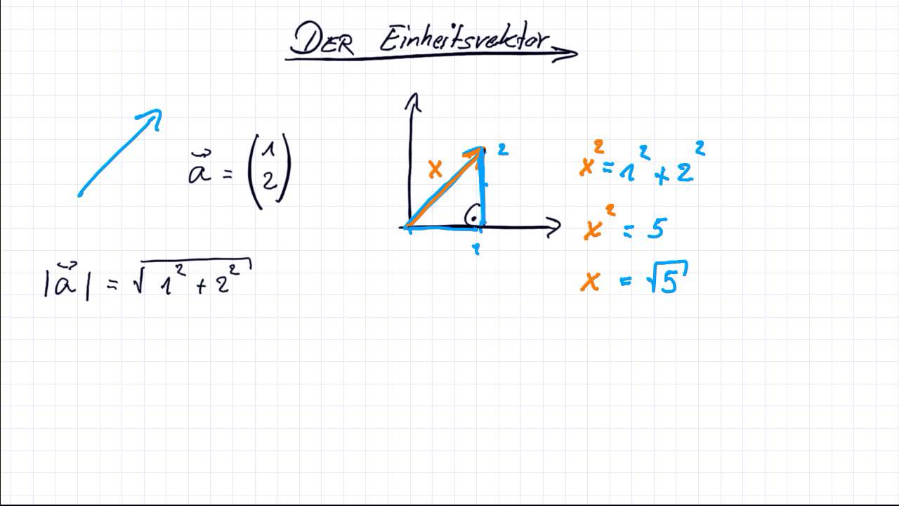 Vektoren -was ist ein Einheitsvektor?