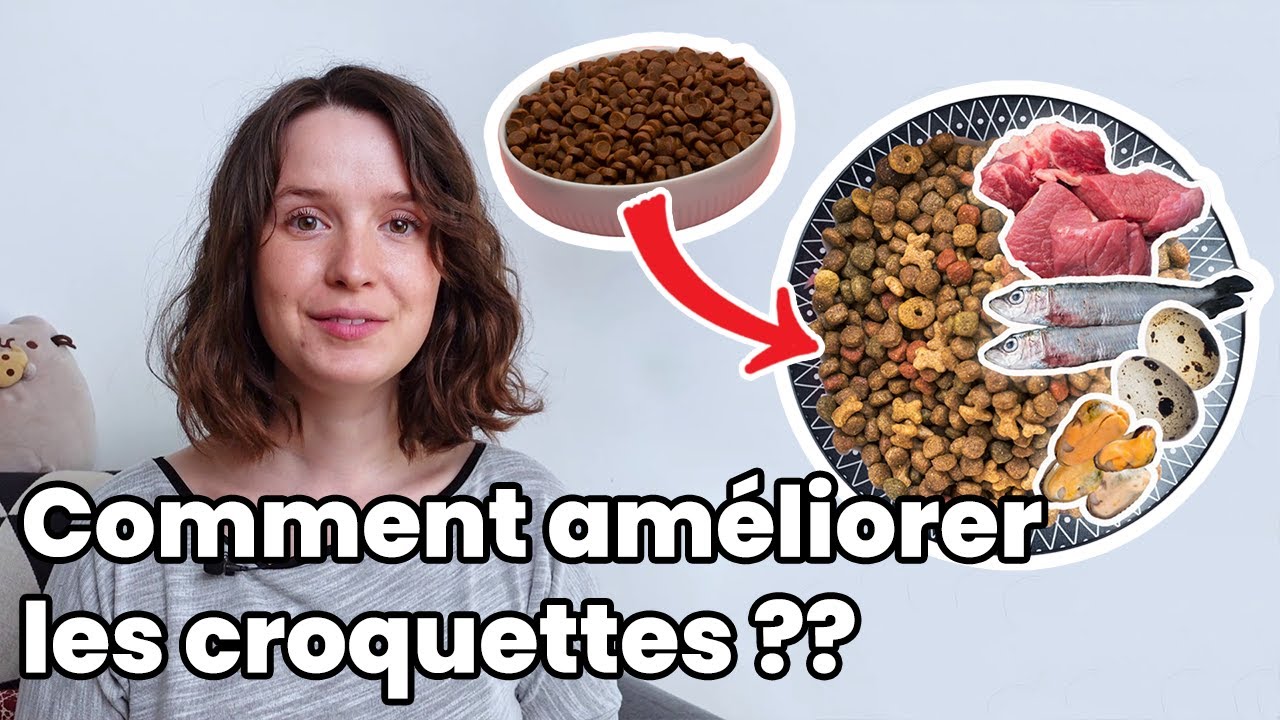 7 ingrédients pour améliorer les croquettes de votre chat !