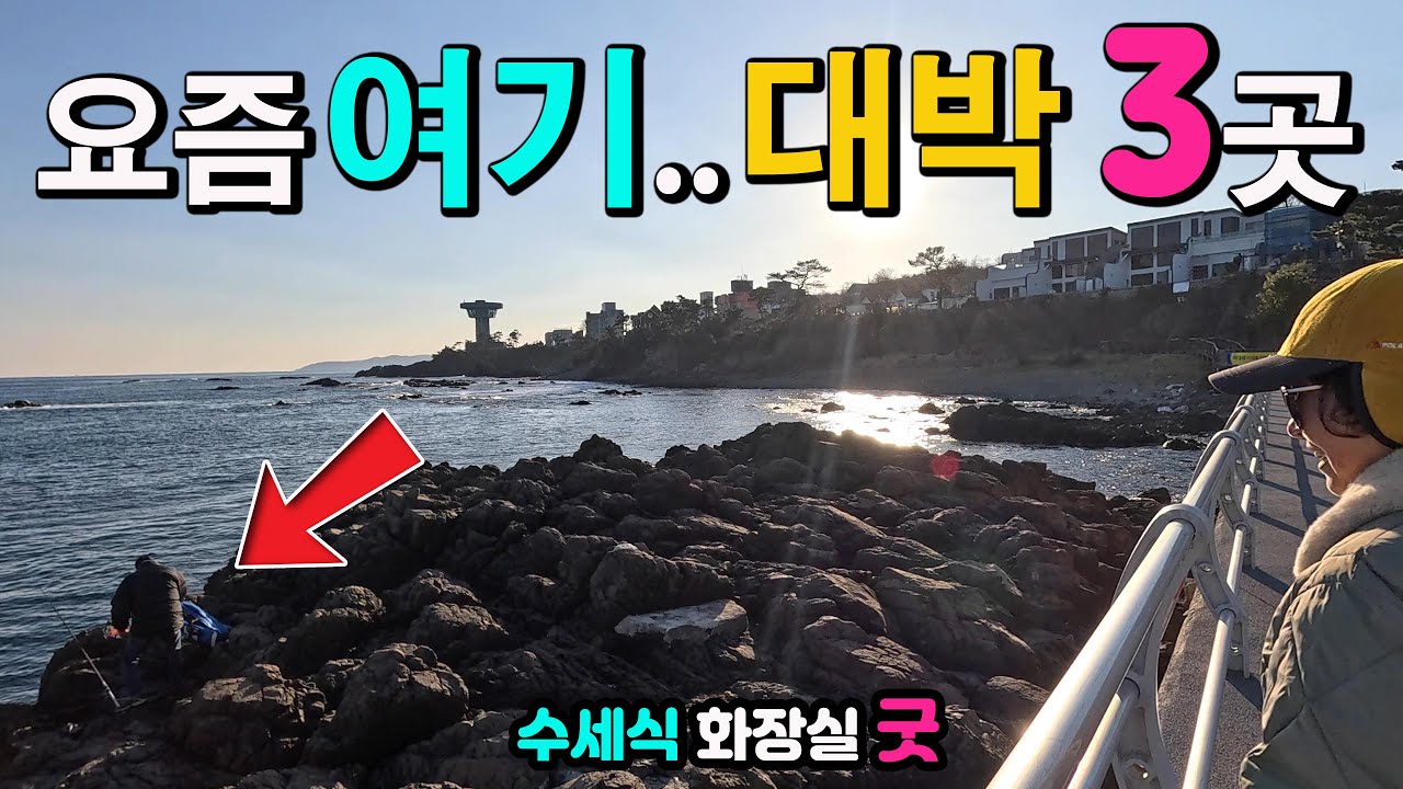 경주 양남 주상절리, 파도소리길, 하서항, 읍천항, 해외보다 멋진 차박 낚시 천국, 대박나는 항구 2곳과 60년 만에 돌아온 천연기념물, 해안 산책길, 캠핑카여행 차박노지,