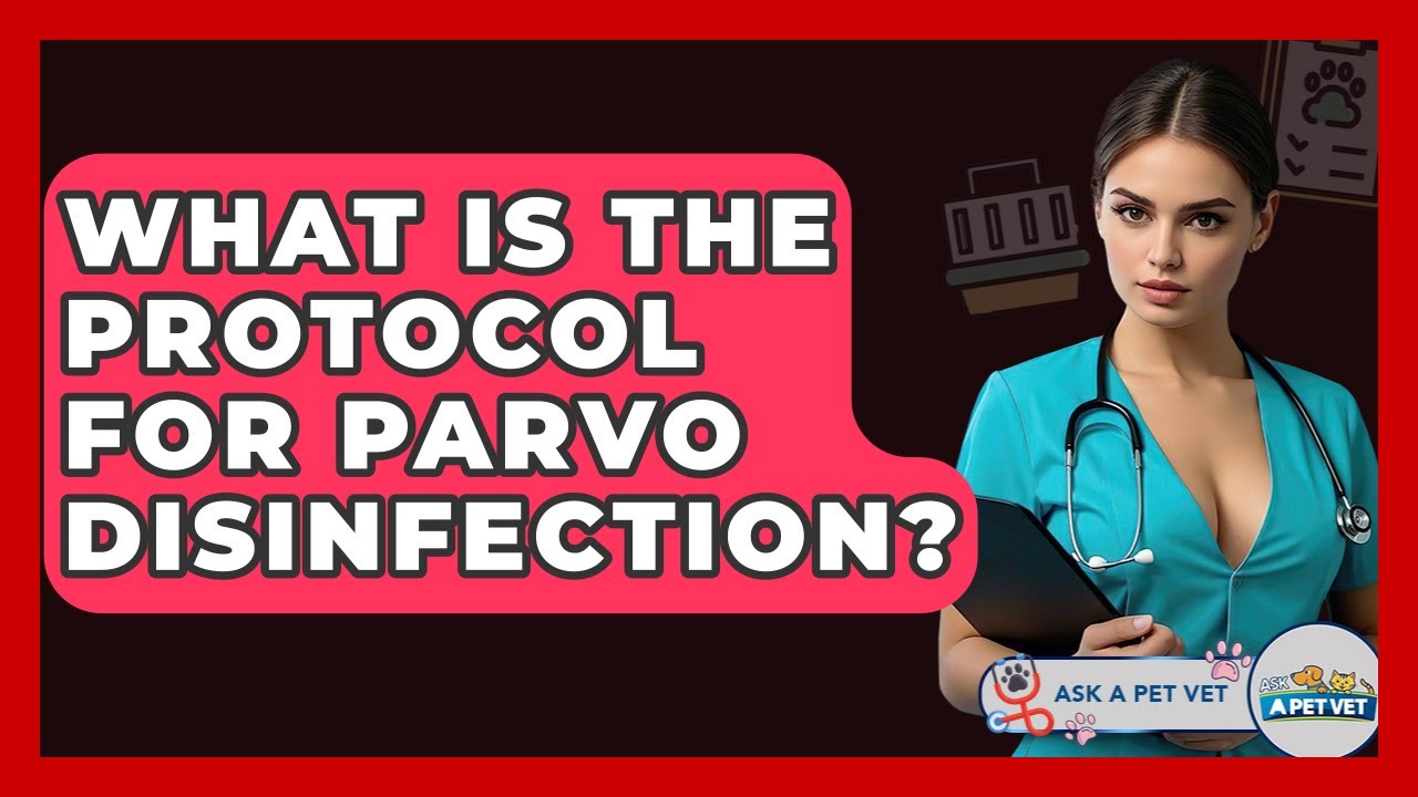What Is The Protocol For Parvo Disinfection? - Ask A Pet Vet