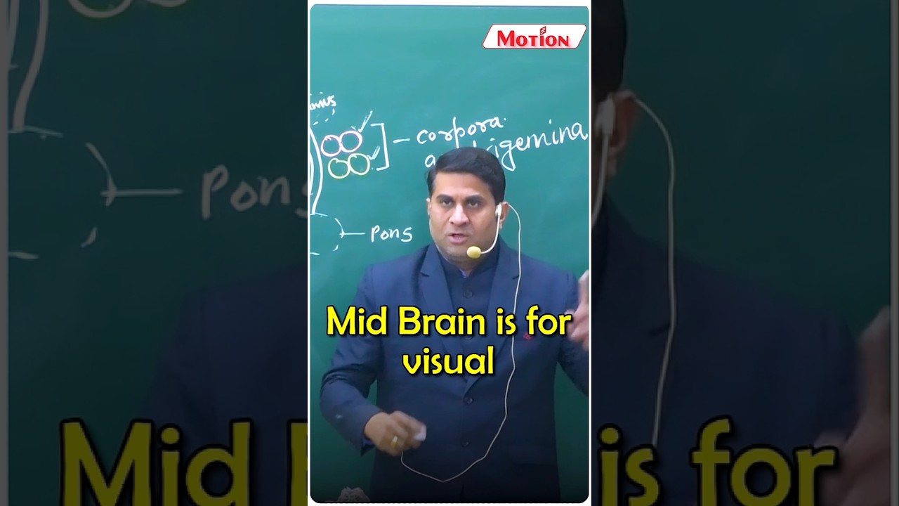✌️Quickly Revise Mid Brain in just 1 Min💪✅ | Neural Control & Locomotion 