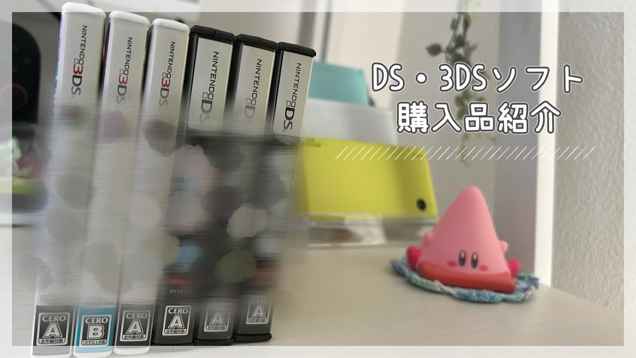 【購入品紹介】またまたお久しぶりの購入品紹介！💸