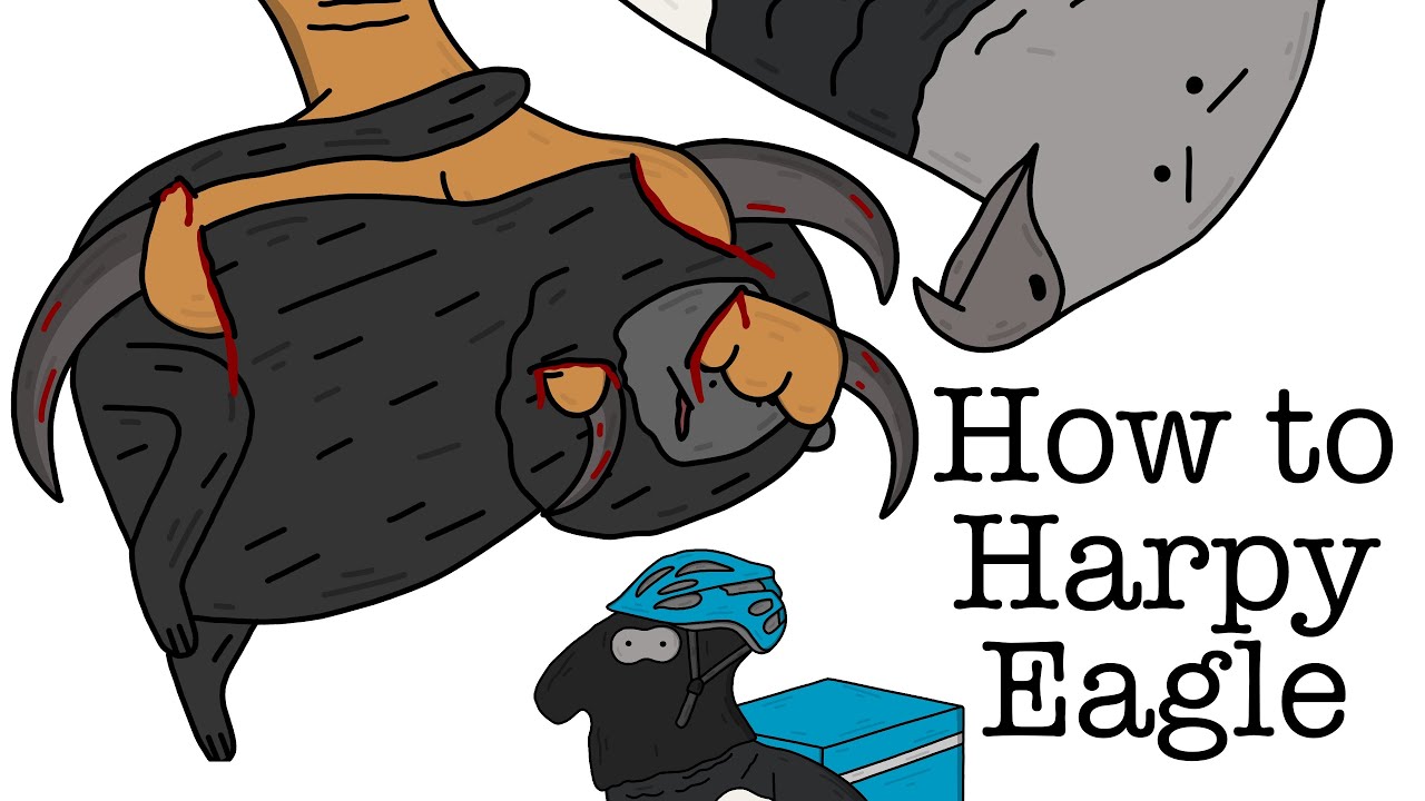 Your Life as a Harpy Eagle