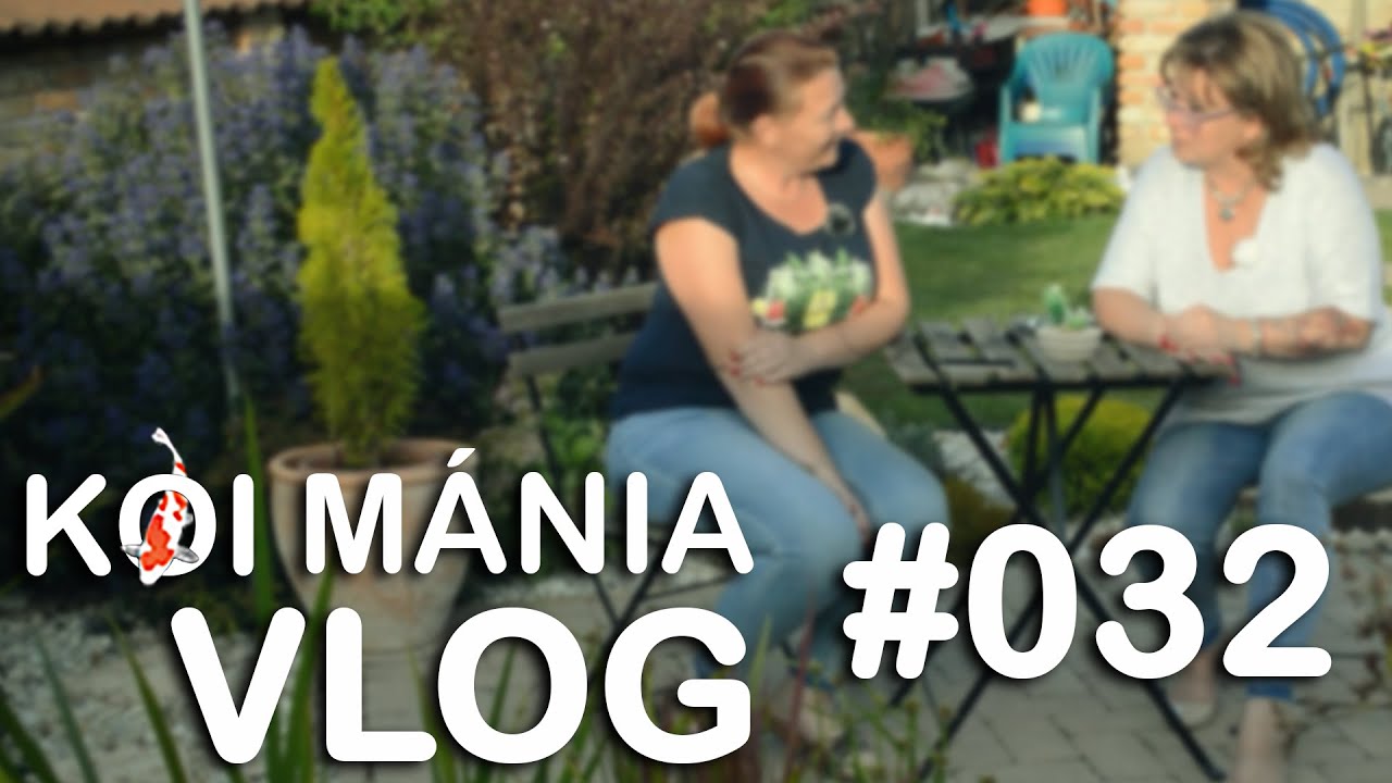 Zircen jártunk | Koi Mánia VLOG#032