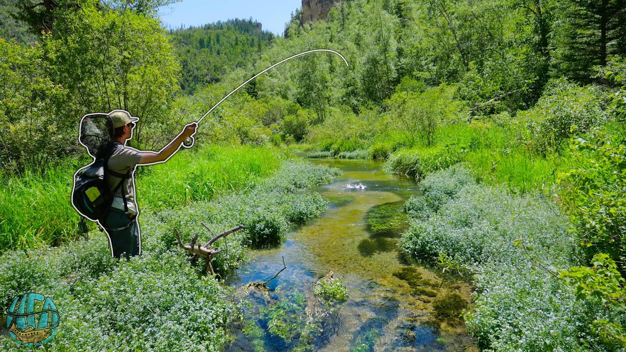 Is this America's Most Underrated Trout Fishing Destination? (Fly Fishing South Dakota)
