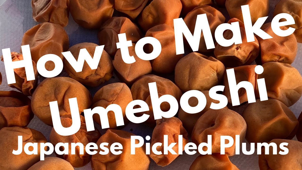 How to Make Umeboshi (梅干) Part 3 of 3