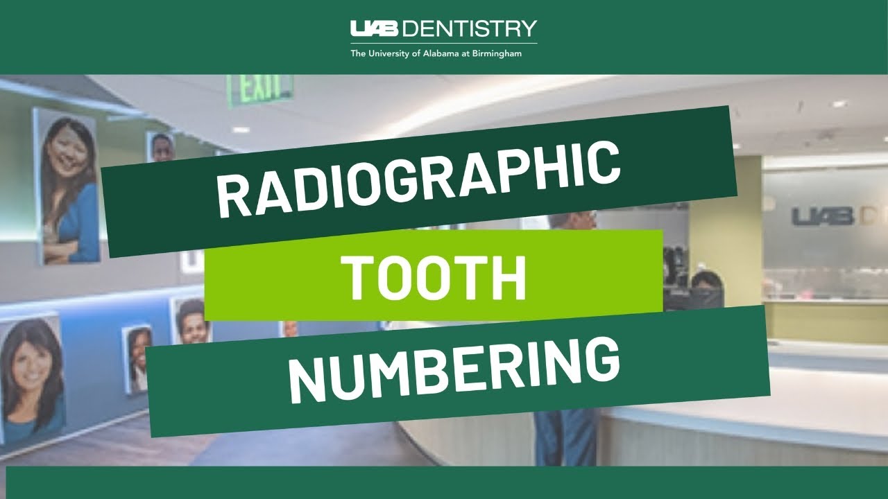 Radiographic Tooth Numbering