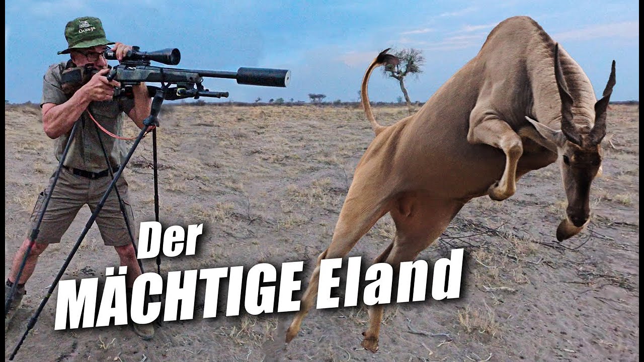 Jagd auf Eland: Ein Abenteuer in Namibia