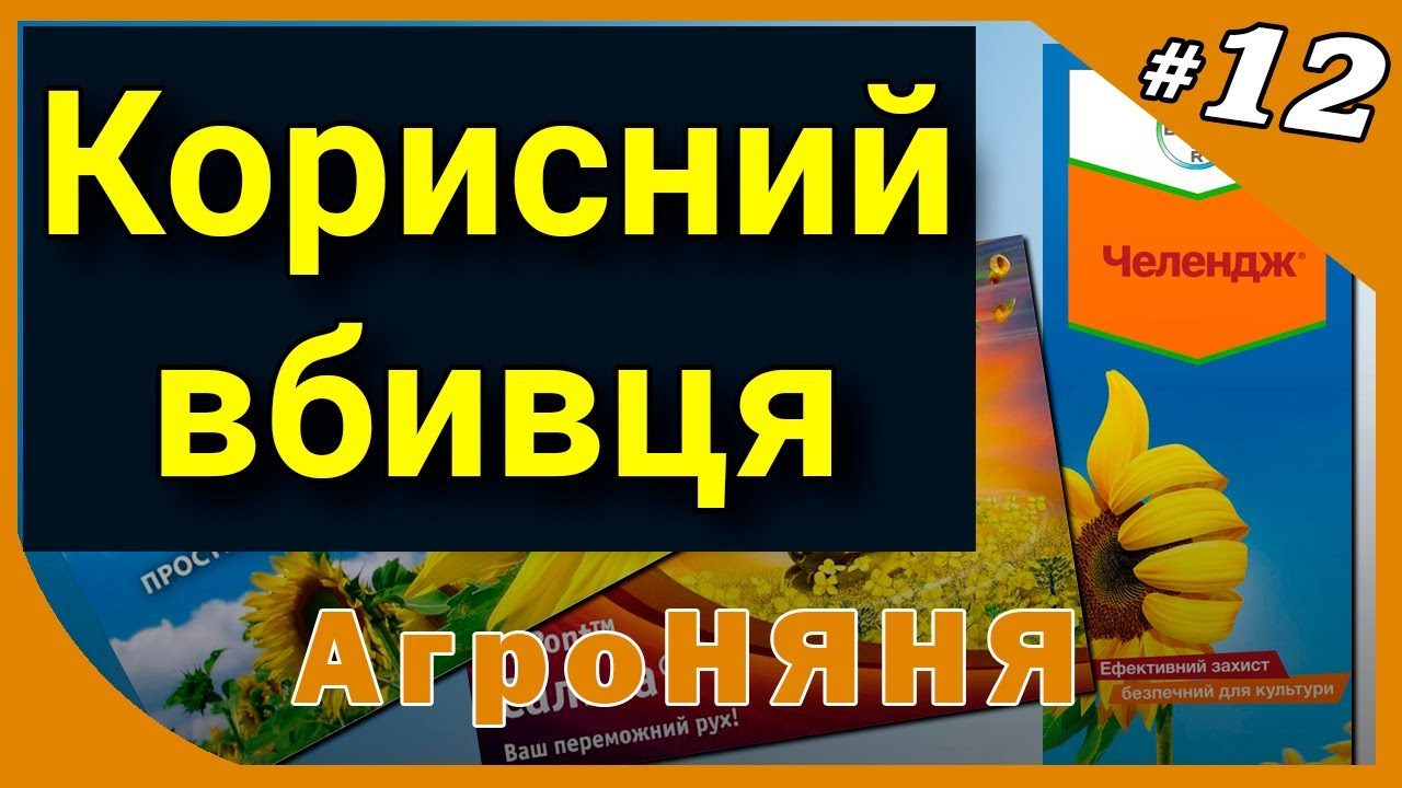 Челендж, Пледж чи Сальса? АгроНЯНЯ 12