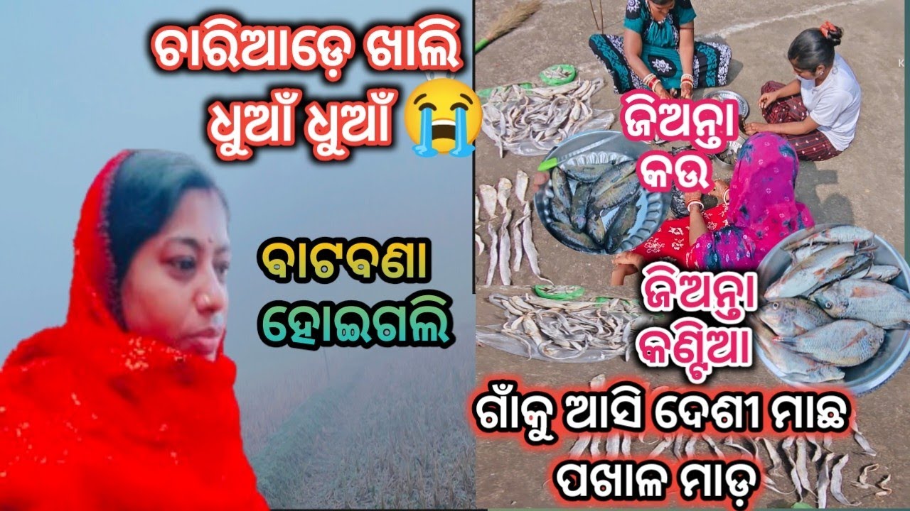  ବାଟବଣା ହେଇଗଲି ଚାରିଆଡ଼େ ଖାଲି ଧୁଆଁ ଧୁଆଁ #ଗାଁକୁ ଆସି ଦେଶୀ ମାଛ ପଖାଳ ମାଡ଼👌🤪@Raniofficialvlog 