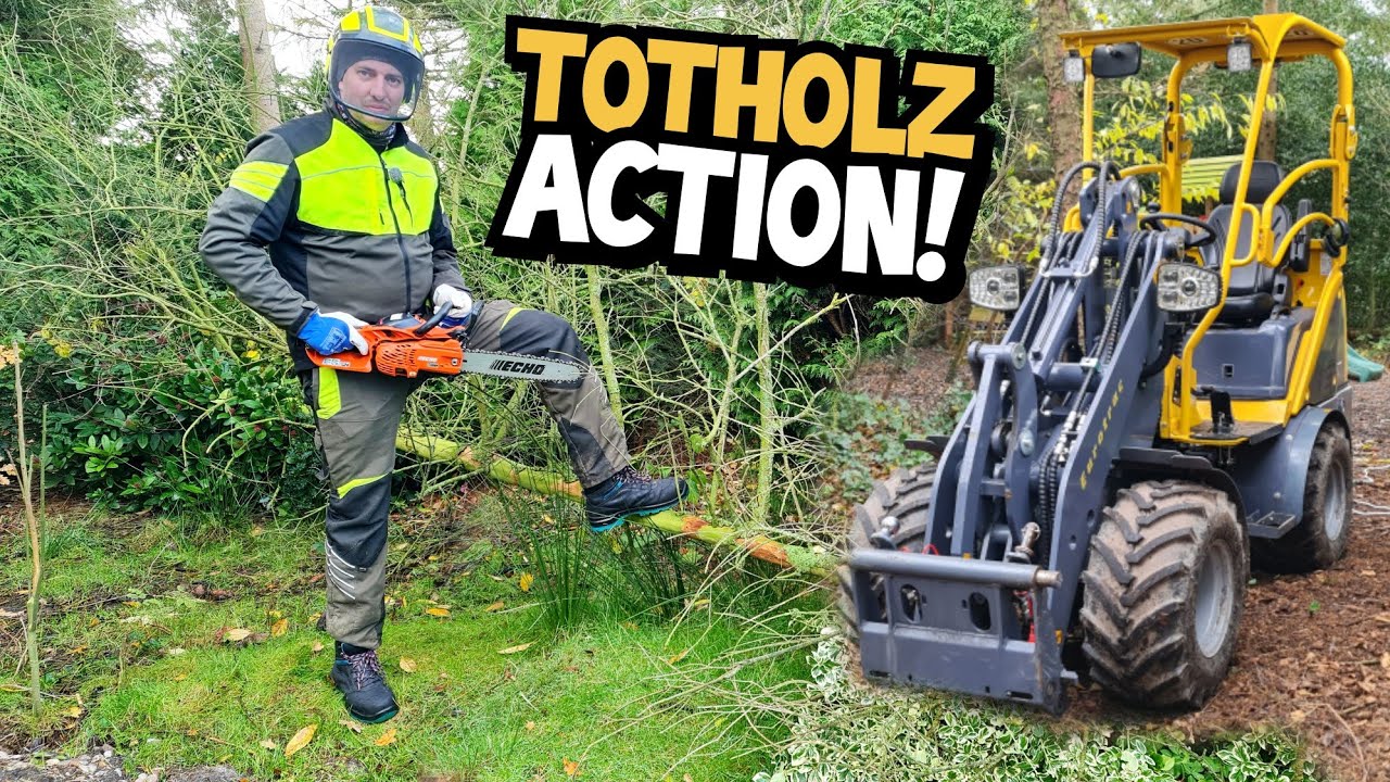 STURMSCHADEN BESEITIGUNG! | QUÄLEREI im TOTHOLZ! | Er will einfach NICHT! | Mr. Moto