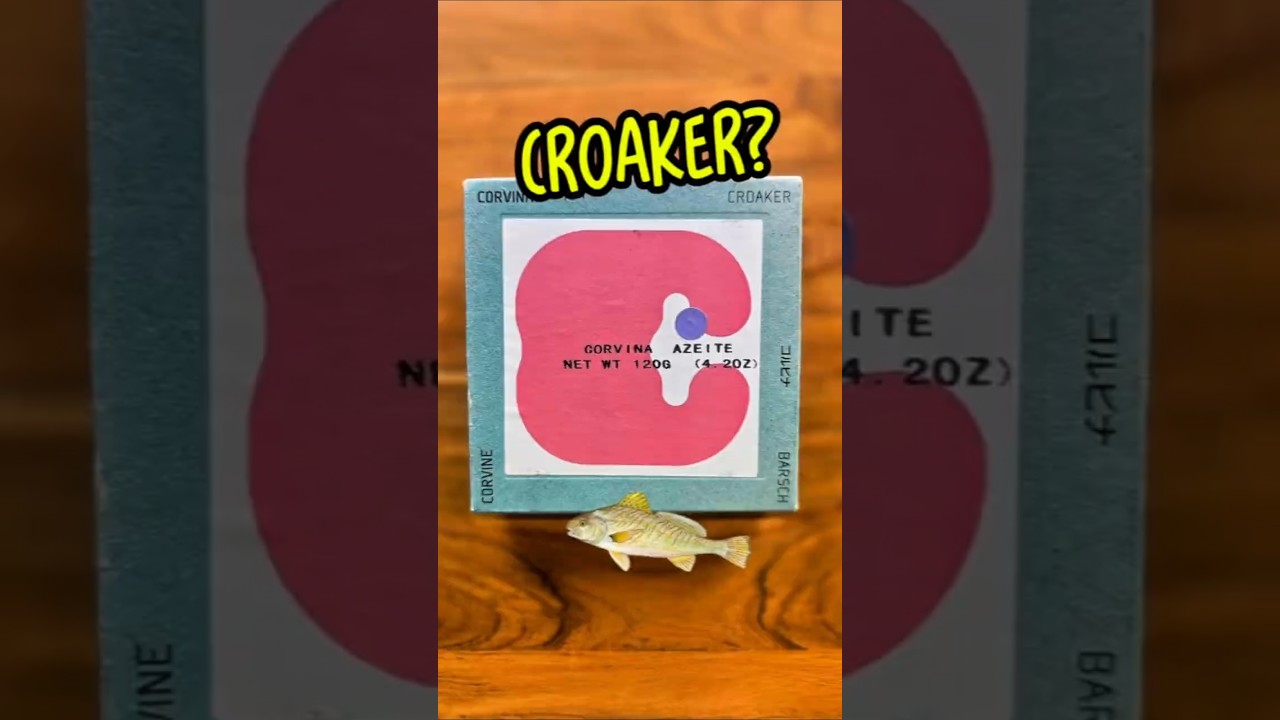 What is croaker ?