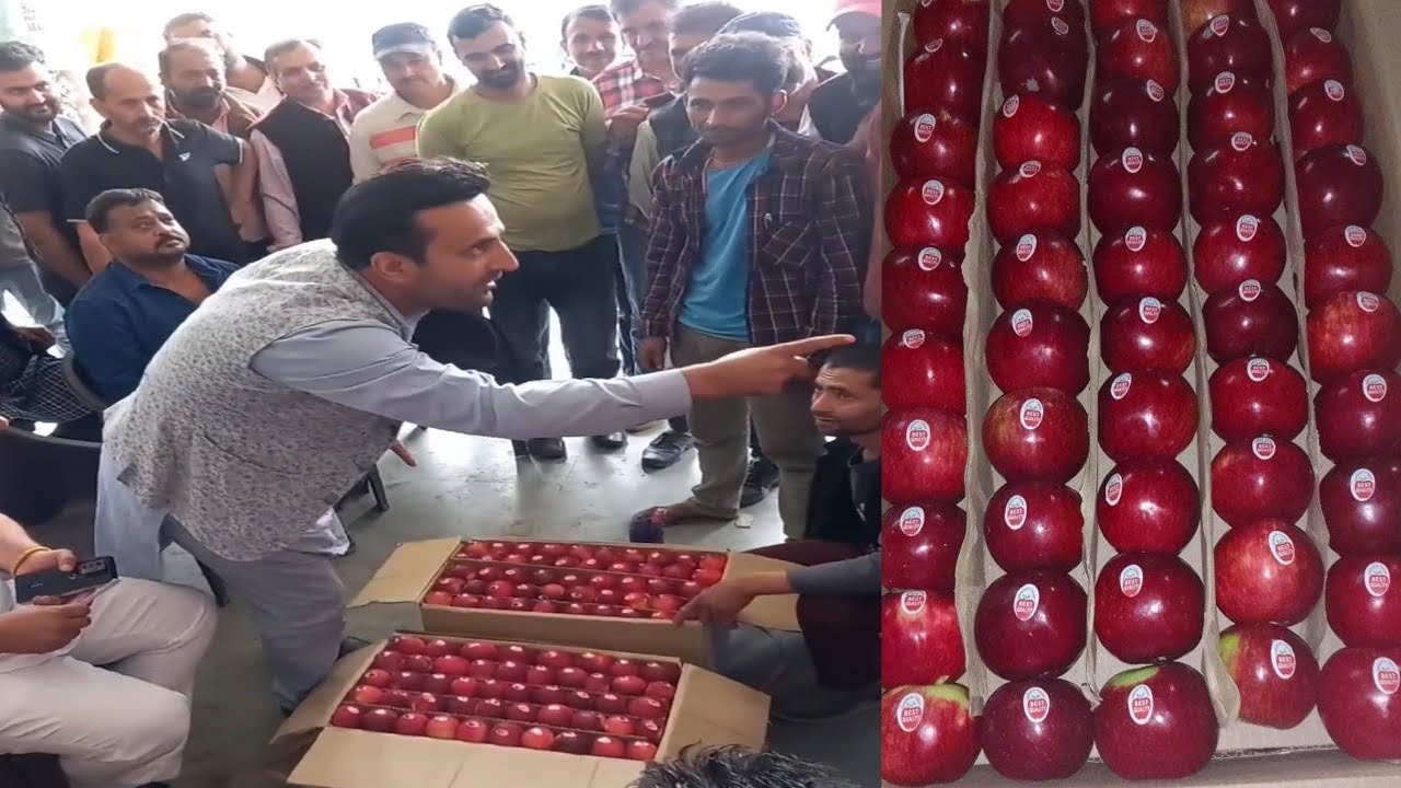 टाइड मैन की लगी ऊंची बोली | Tideman Apple Market | Himalayan Farming | Apple market