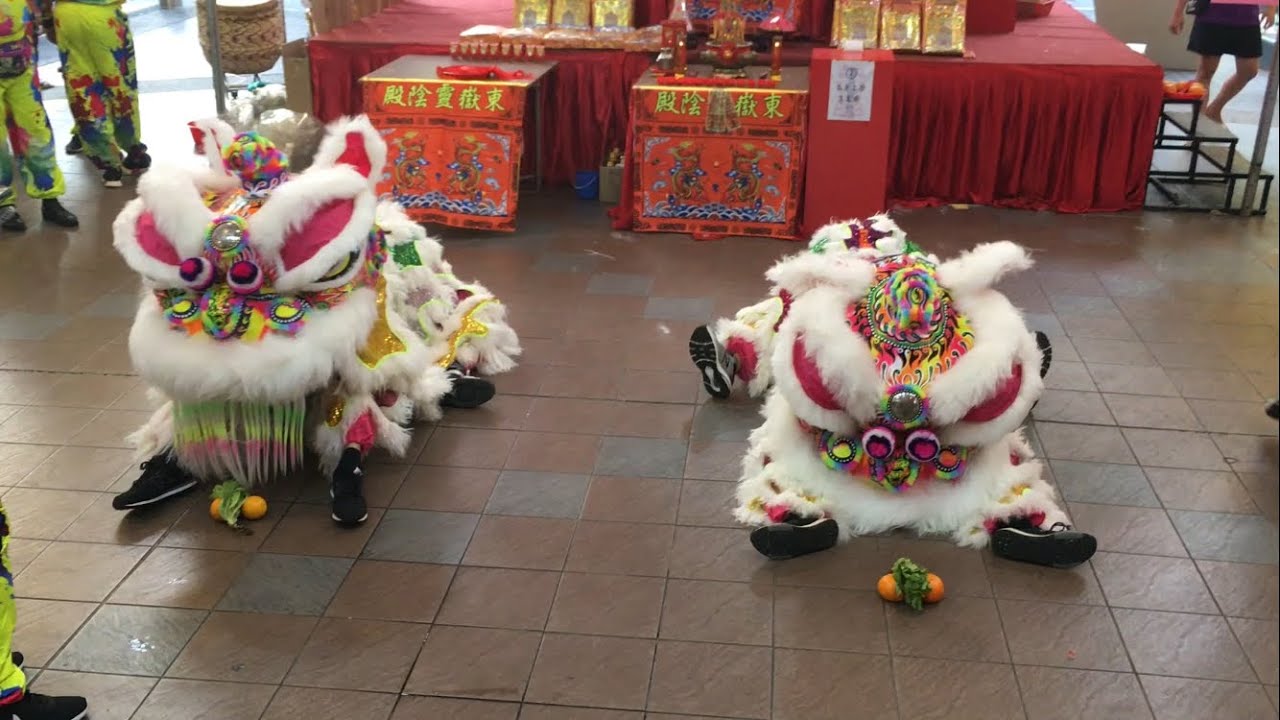 天興體育會 Tian Heng Lion Dance Eye Dotting Ceremony at Dong Yue Ling Yin Dian 3 Nov 2022