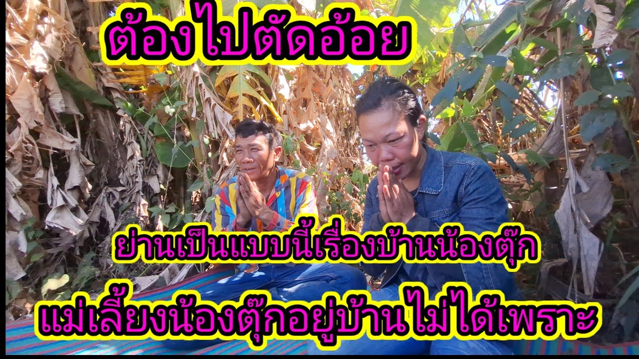 บุกสวนอ้อยที่แม่กับพ่อน้องตุ๊กไปตัดเพราะเหตุผลต้องอยู่ไม่ได้เป็นแบบนี้25 มกราคม ค.ศ. 2026