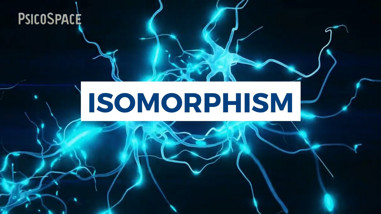 ISOMORPHISM, Gestalt Psychology, Kurt Koffka, Wolfgang K&ouml;hler | History of #Psychology