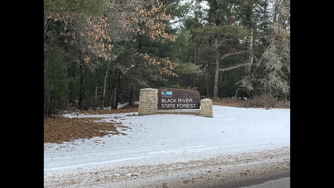 BLACK RIVER STATE FOREST
