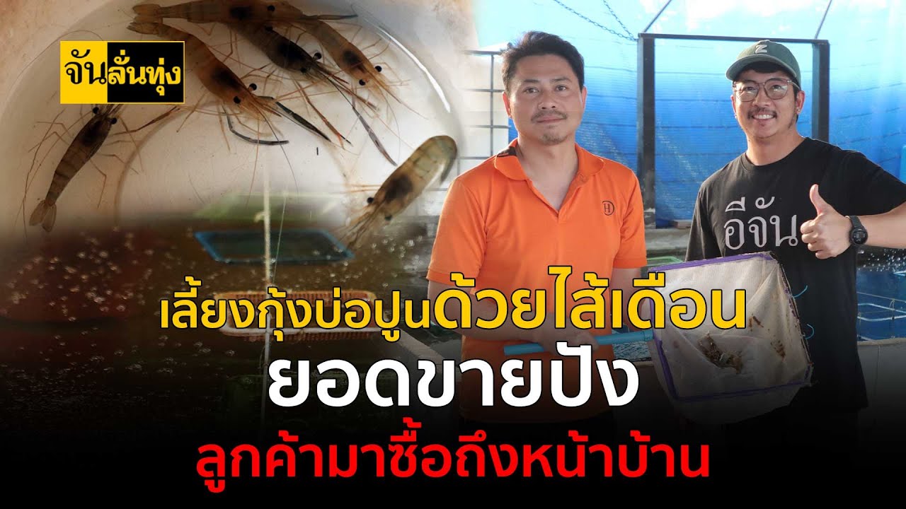เลี้ยงกุ้งบ่อปูนด้วยไส้เดือน ยอดขายปัง ลูกค้ามาซื้อถึงหน้าบ้าน | จัน ลั่นทุ่ง
